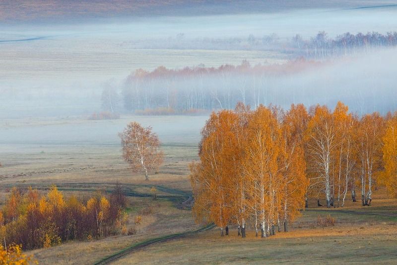 Там за Туманами-2 фото превью