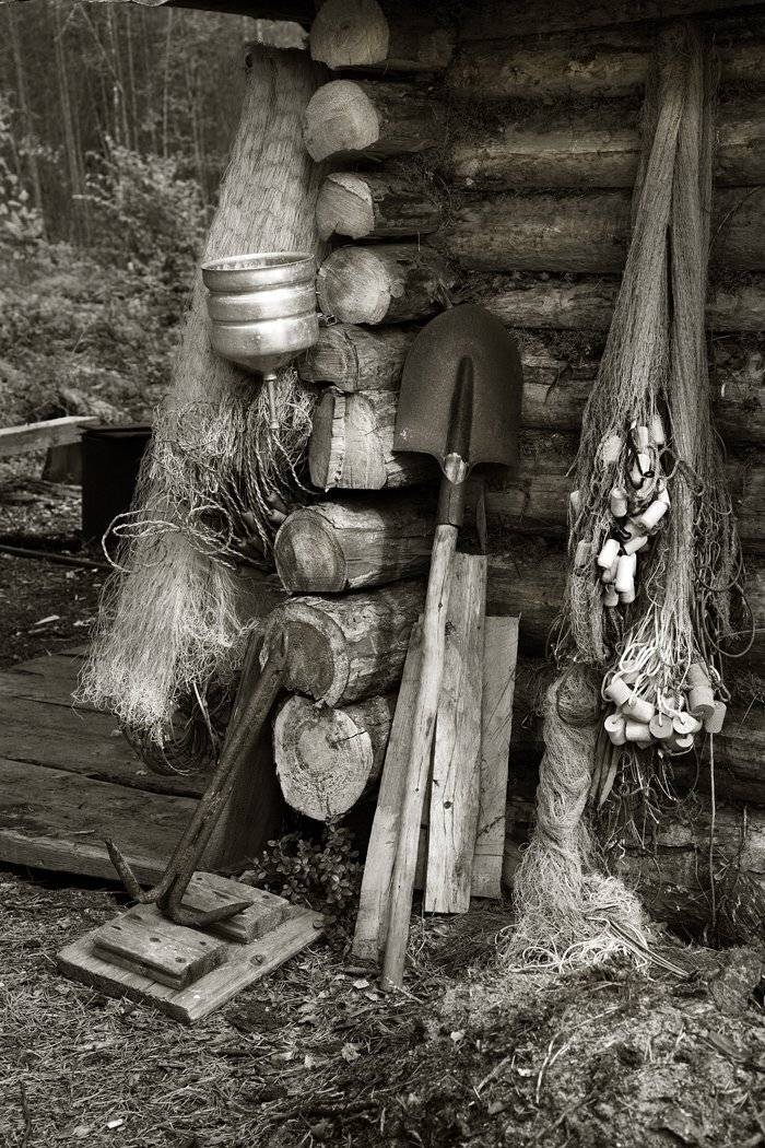 , Михаил Псарёв