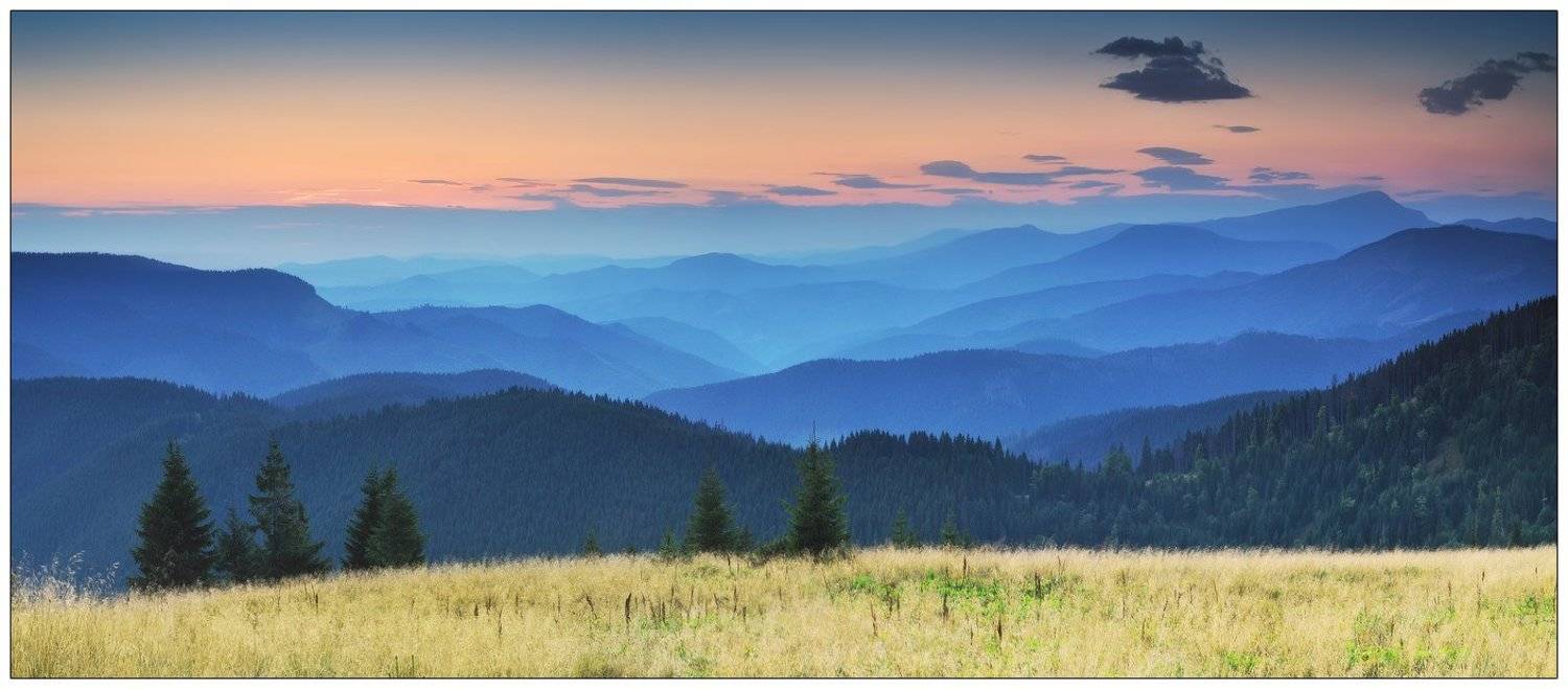 , Денис Кривой