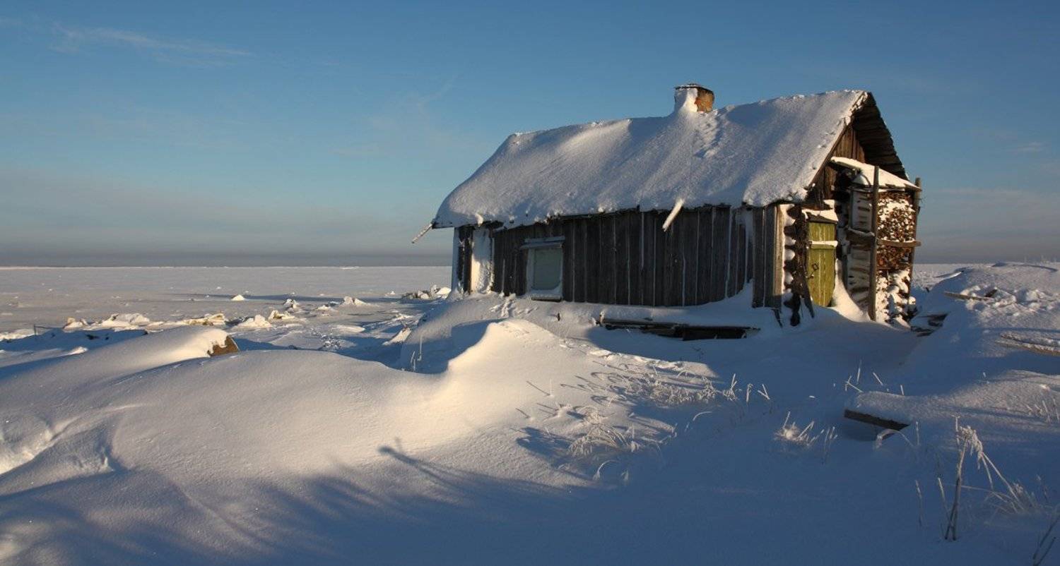 , Андрей Котов