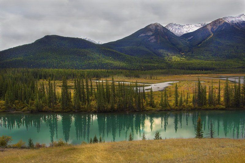 канада, скалистые горы, река, елки, ели, банф Параллельный мир фото превью