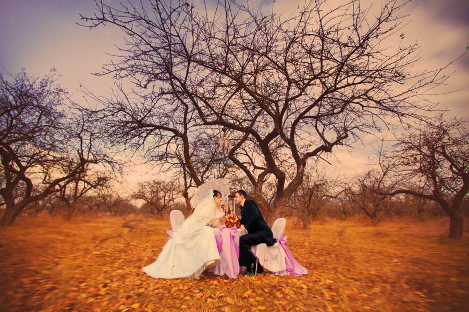 wed, Александр Ростов