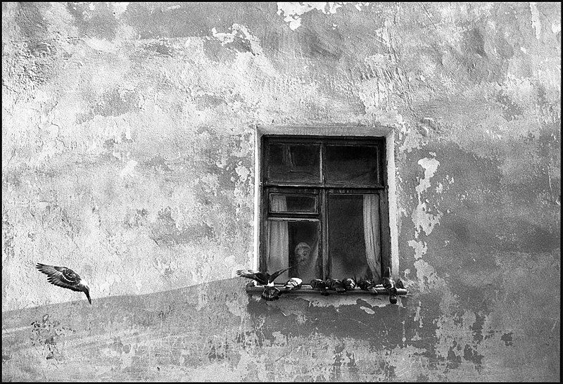 Птичий завтрак фото превью