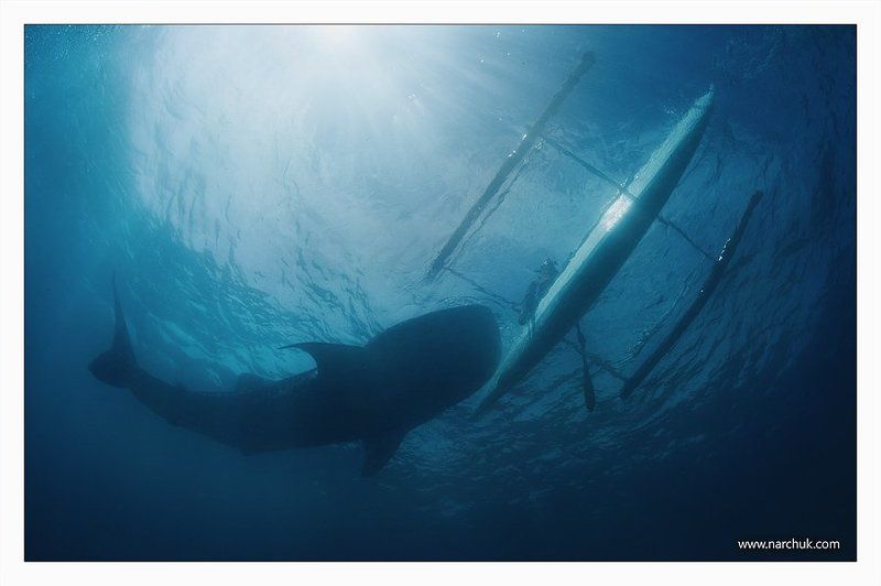 Вместе фото превью