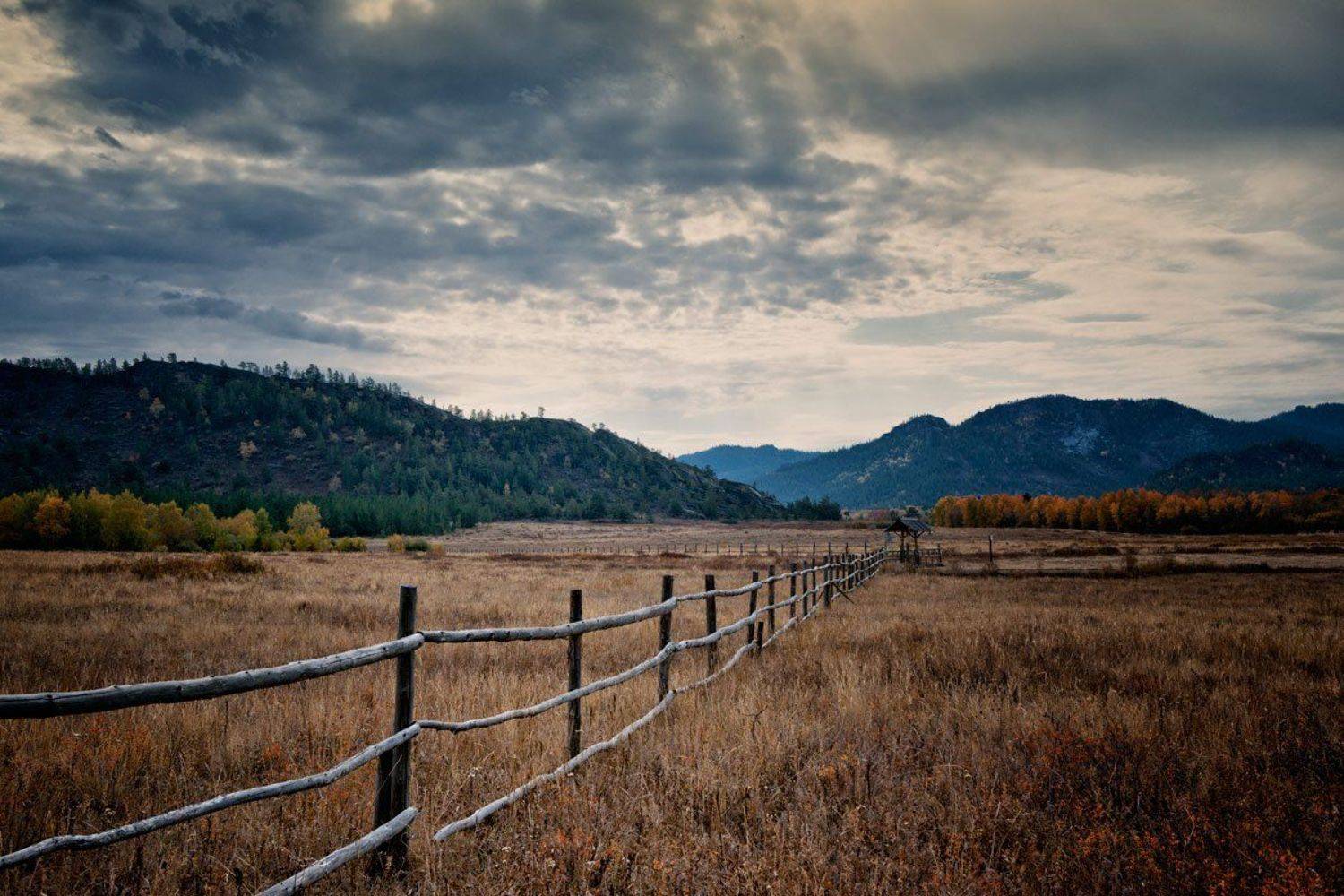 , Дмитрий Елисеев