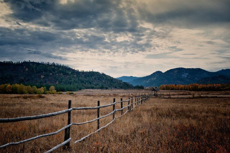 6841318 фото превью