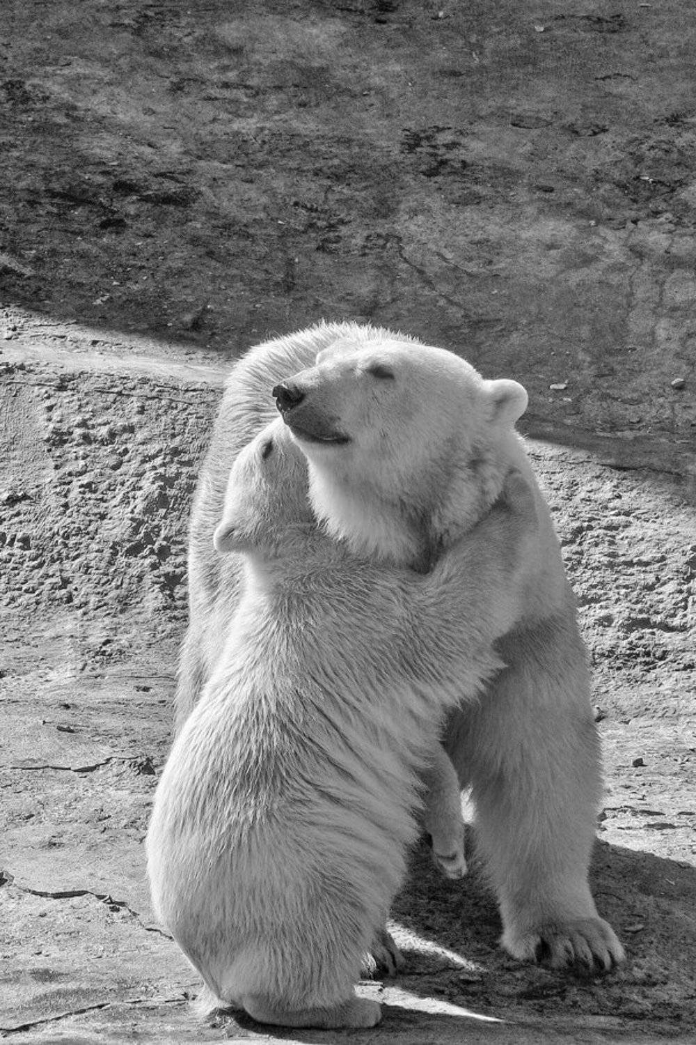 , Uncle_Vova (Владимир Веснин)