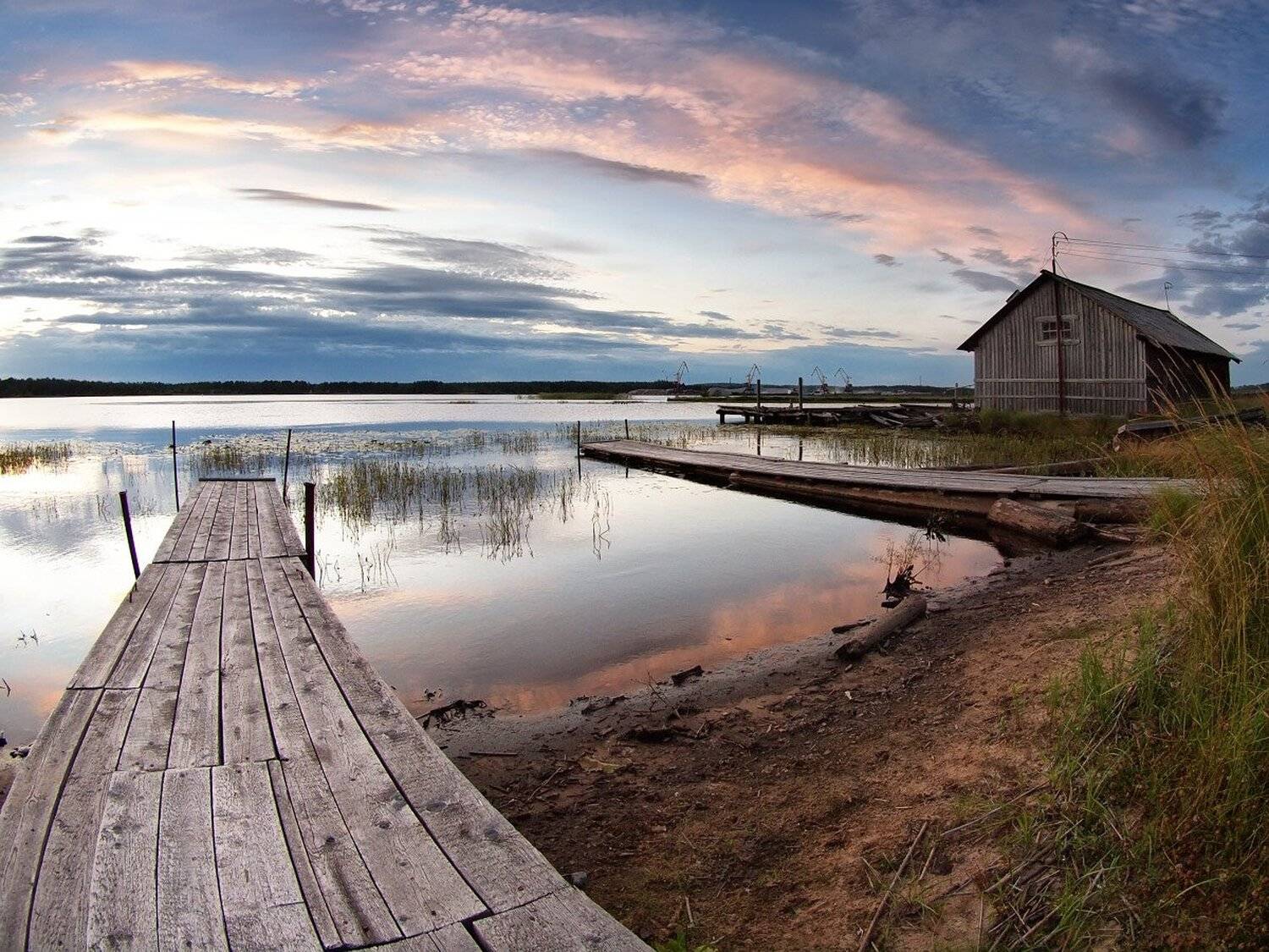 , Максим Евдокимов