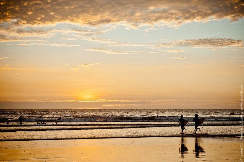 коста рика, путешествие, океан, закат, животные, travel, ocean, nature, animals Costa Rica. Действительно богатый берег. фото превью