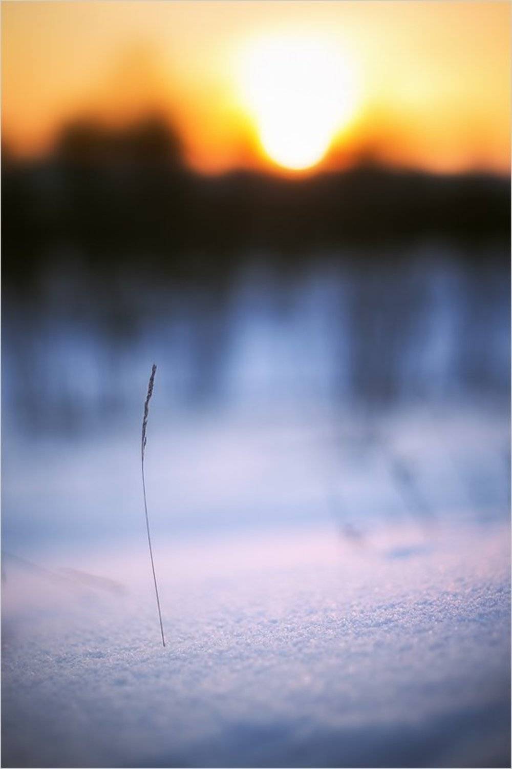 , Суханов Дмитрий