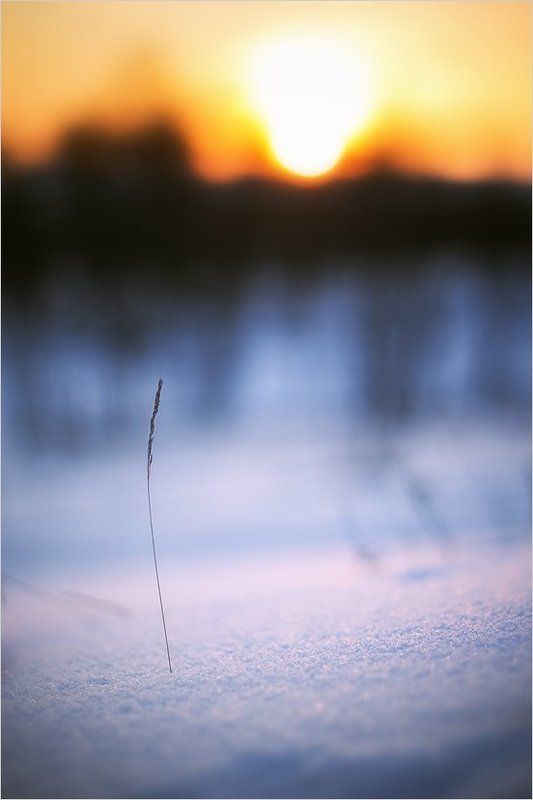 Про одиночество фото превью