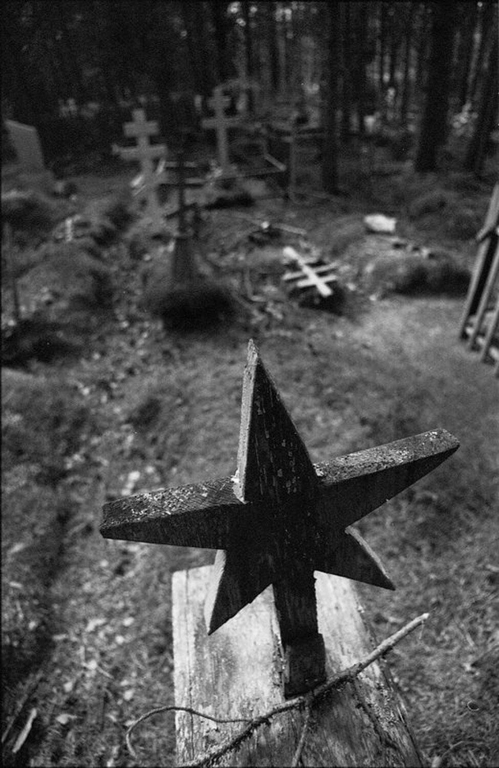 , Александр Савельев