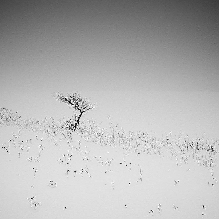 , Юрий Наумович