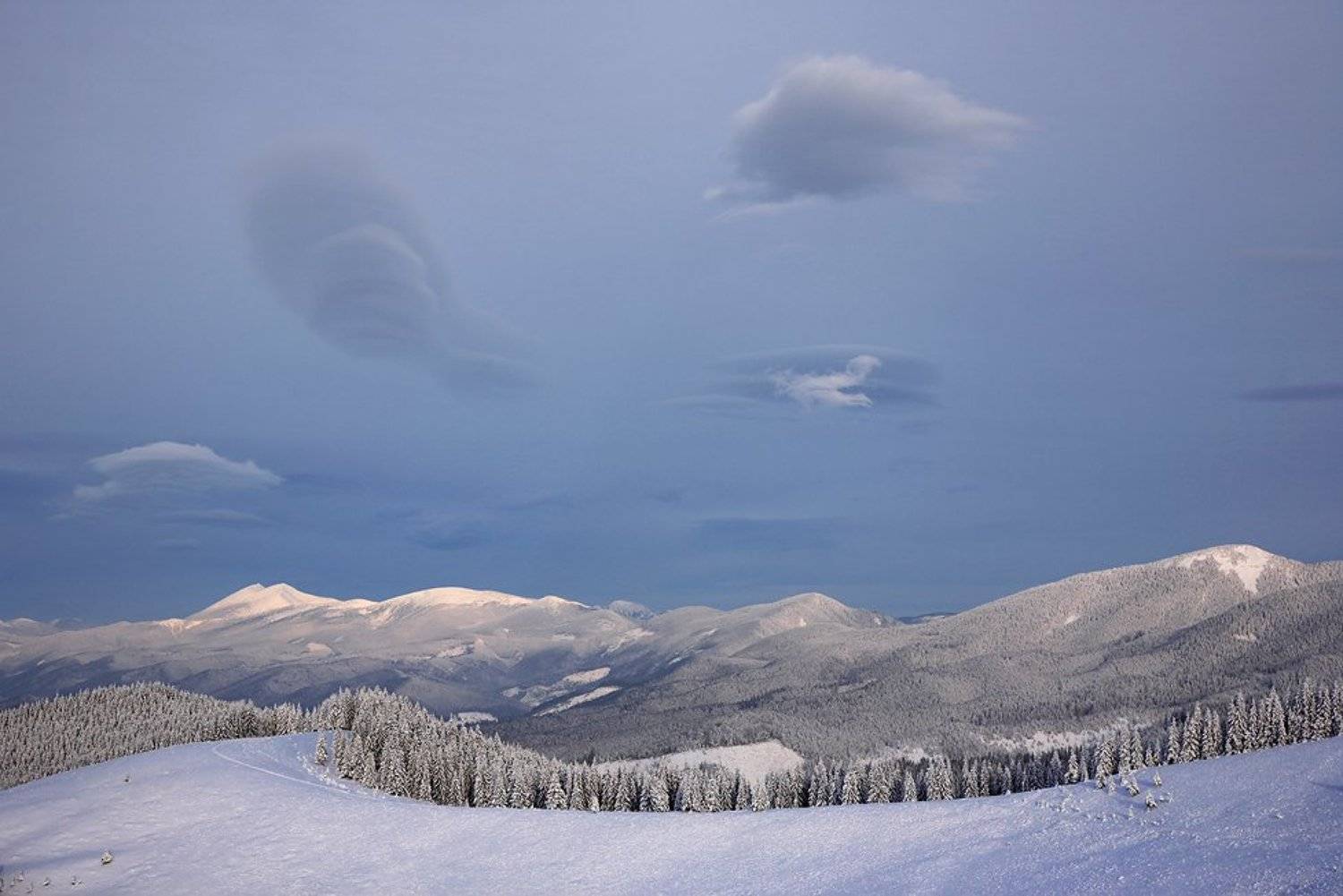 карпаты, Тарас