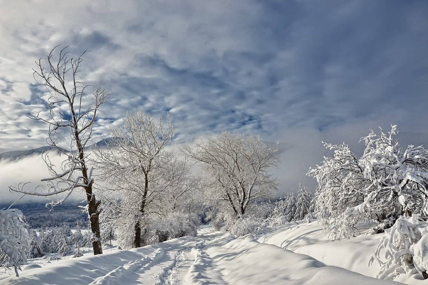 , Красимир Матаров