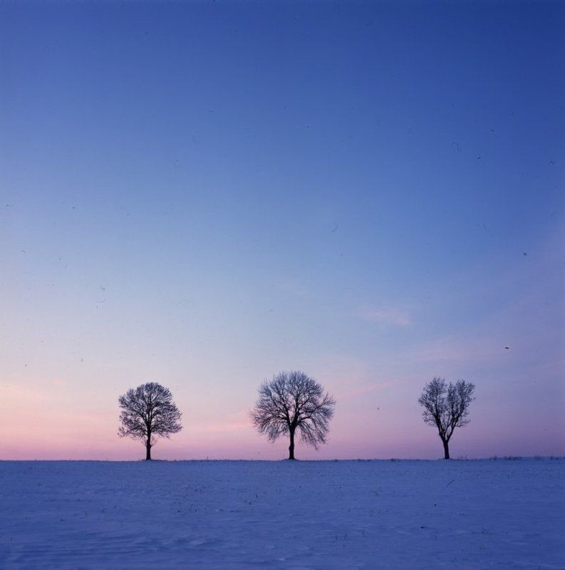 Fly me to the moon фото превью