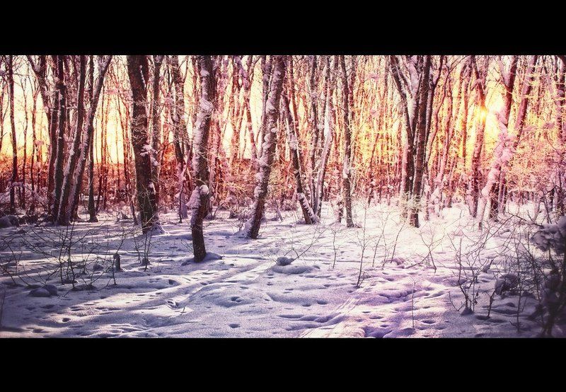 Закат фото превью