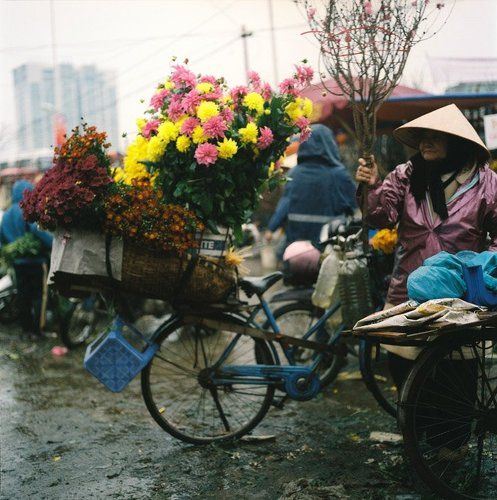 Quang Ba Flower market on Lunar New Year 2012