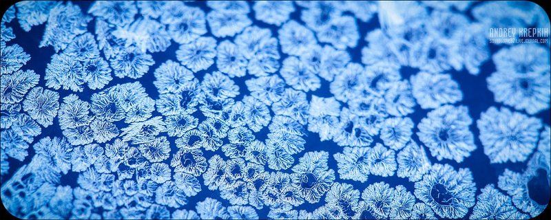 узоры, мороз, окно Узоры фото превью