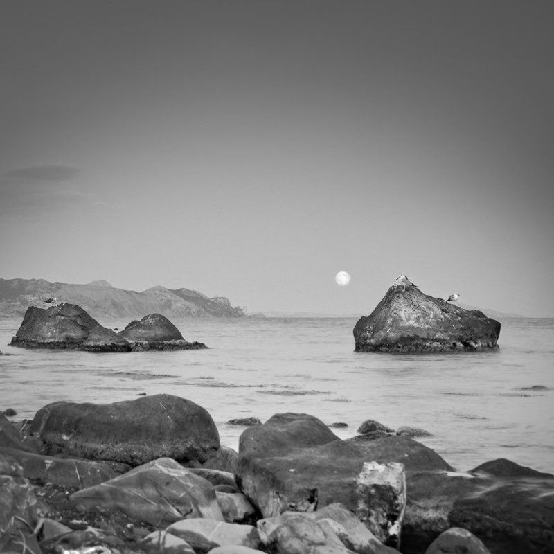 в ожидании Большой Луны ... фото превью