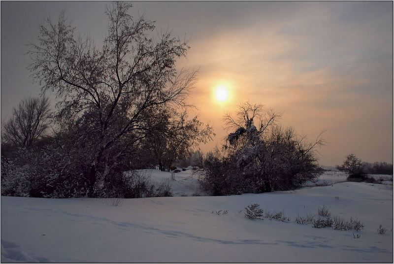 природа Февральским вечерком... фото превью