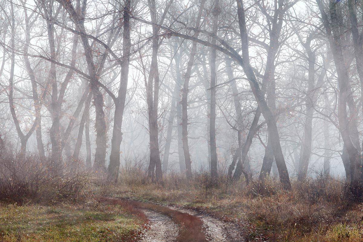 , Качурин Алексей