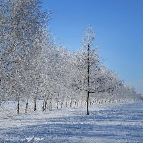 Перед строем