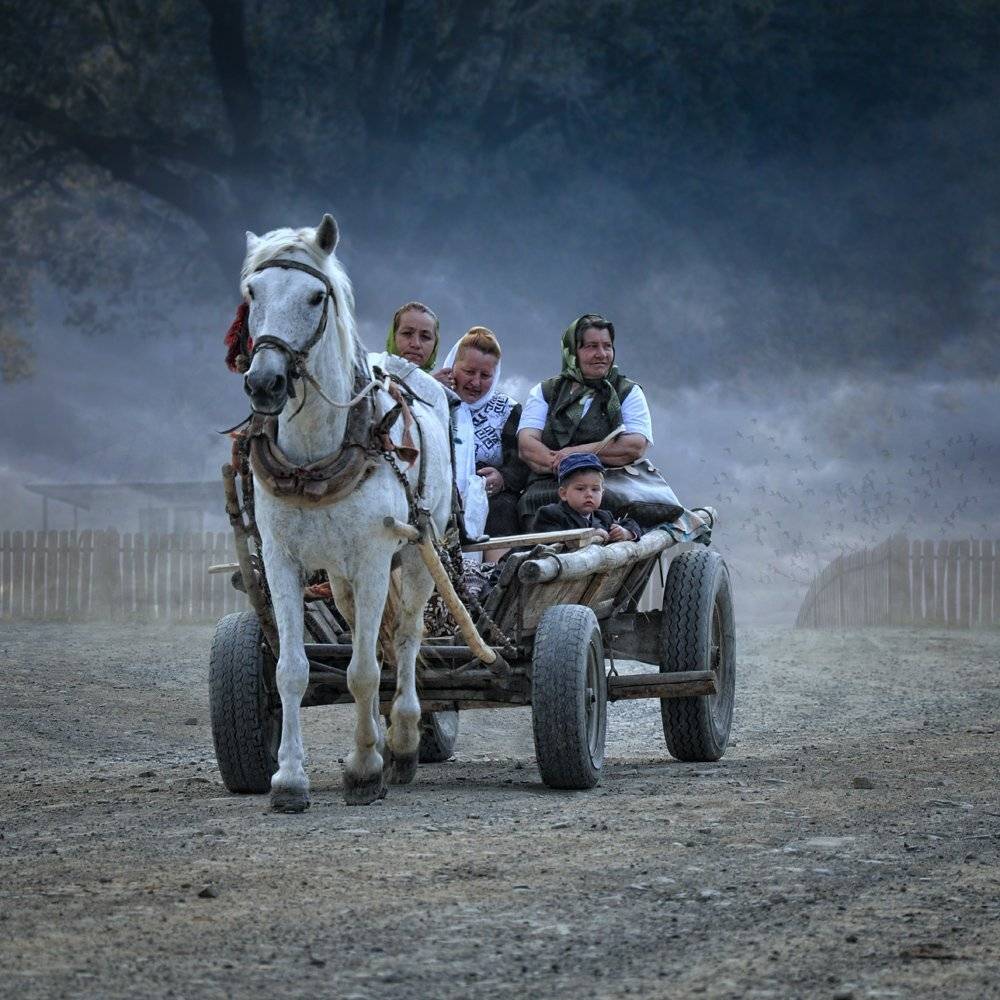 child, woman, family, country, dust, tree, fence, house, horse, cart, running, innocence, Caras Ionut