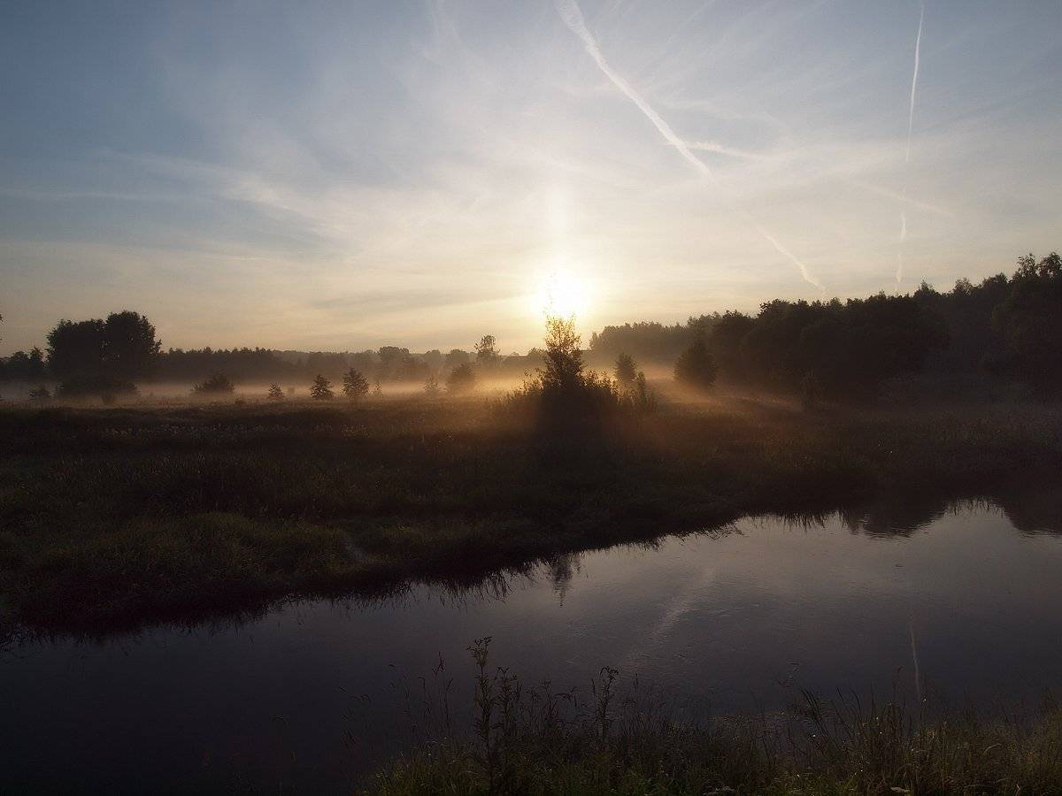 , Владимир Перепечаев