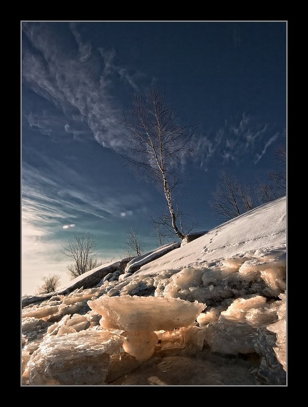 стойкие... фото превью