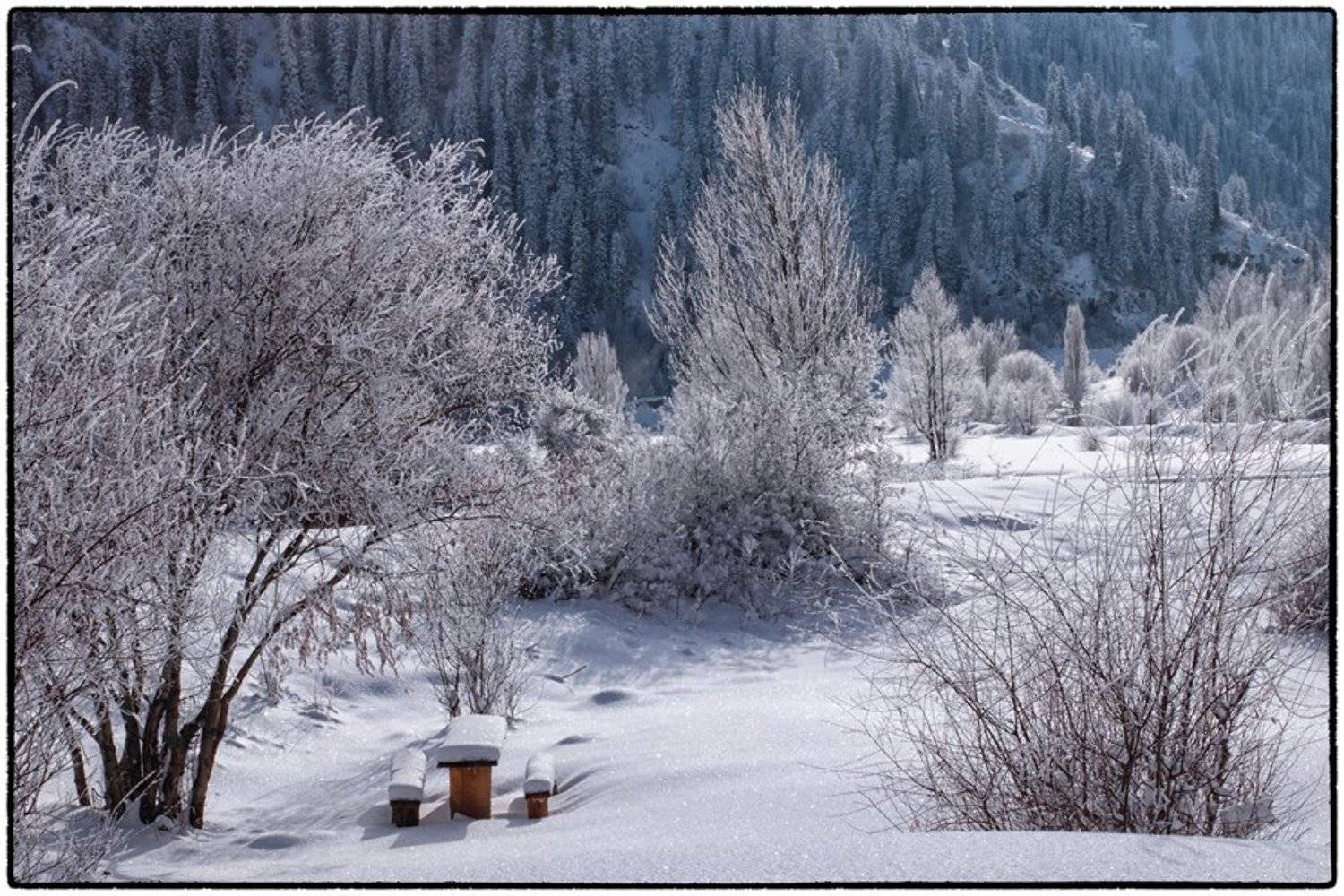 , Konstantin Pecherskiy