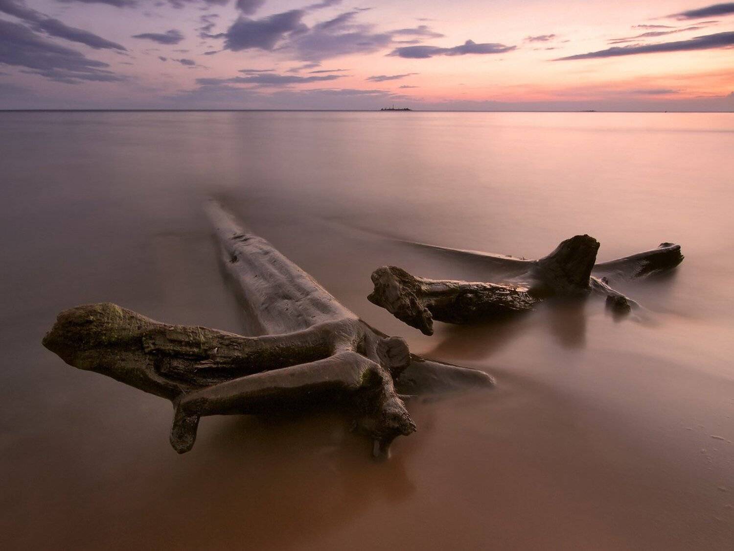 , Максим Евдокимов