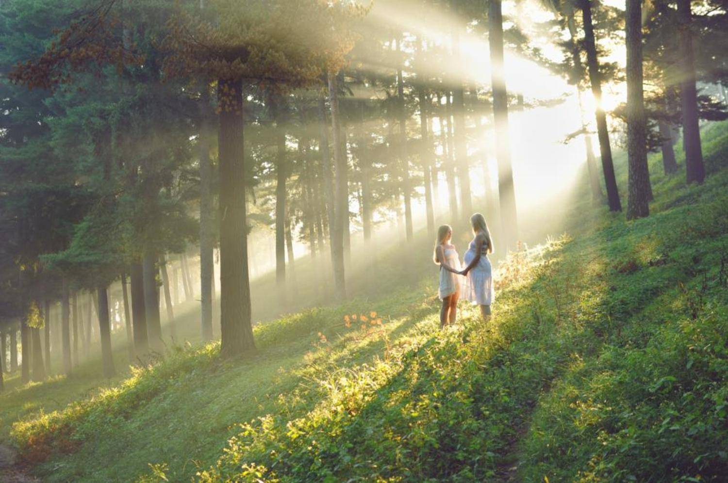девушки, девушка, сестры, беременность, мама, дочь, солнце, лес, туман, деревья, лучи, girl, girls, sisters, mother, daughter, pragnancy, sun, rays, fog, forest, trees, Сафонова Ольга