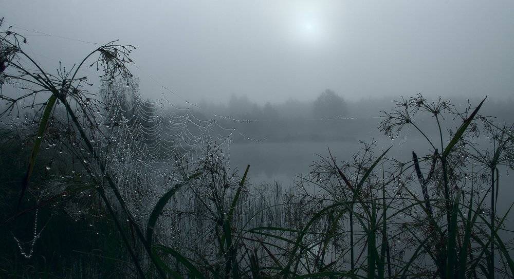 , Николай Морский