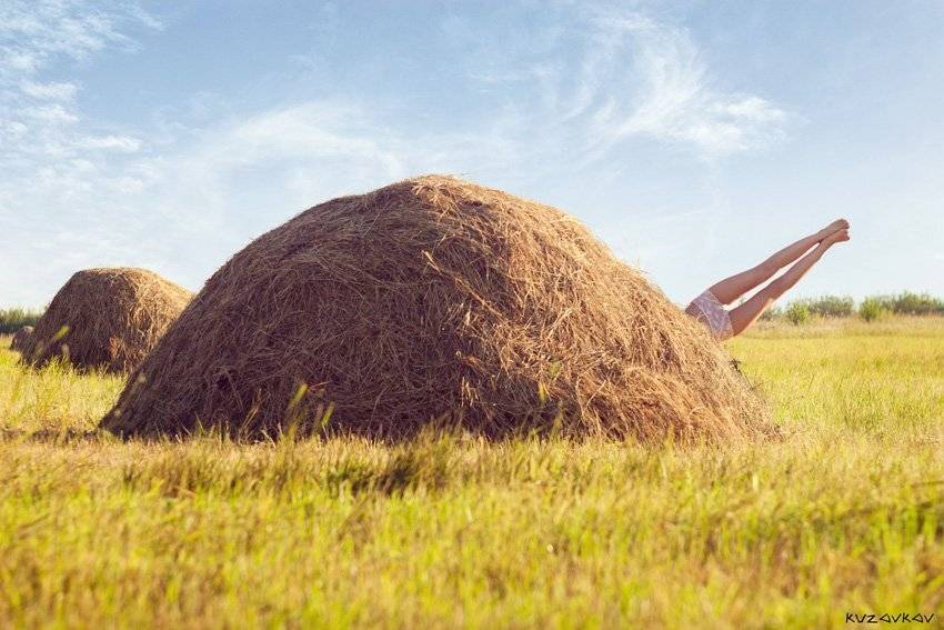 , Александр Кузовков