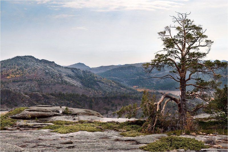 2011, karaganda region, kazakhstan, kent, mountains, photo safari, photo-safari, september, горы, казахстан, кент, осень, сентябрь, фотосафари Горы Кент в сентябре 2011 г. (завершающий разбор) фото превью