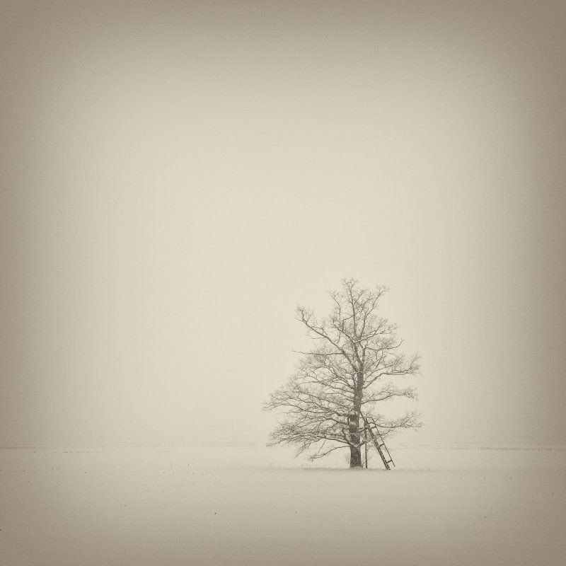 Про одиночество фото превью