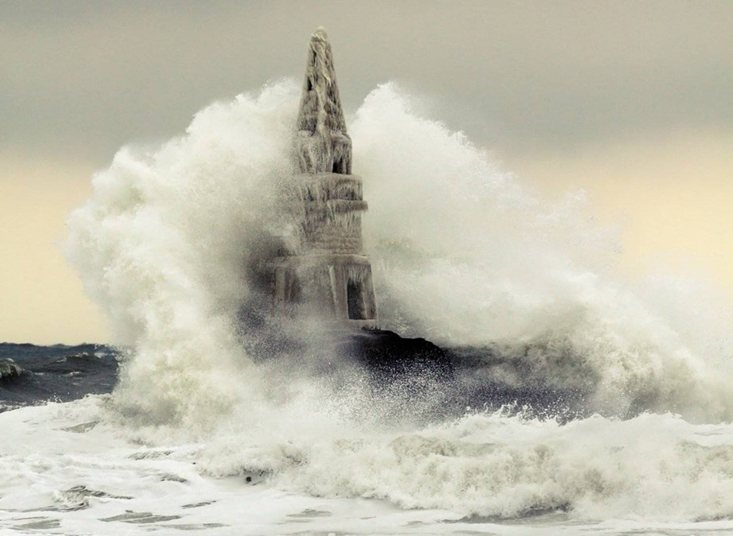 , Senna Ayd-Photographer