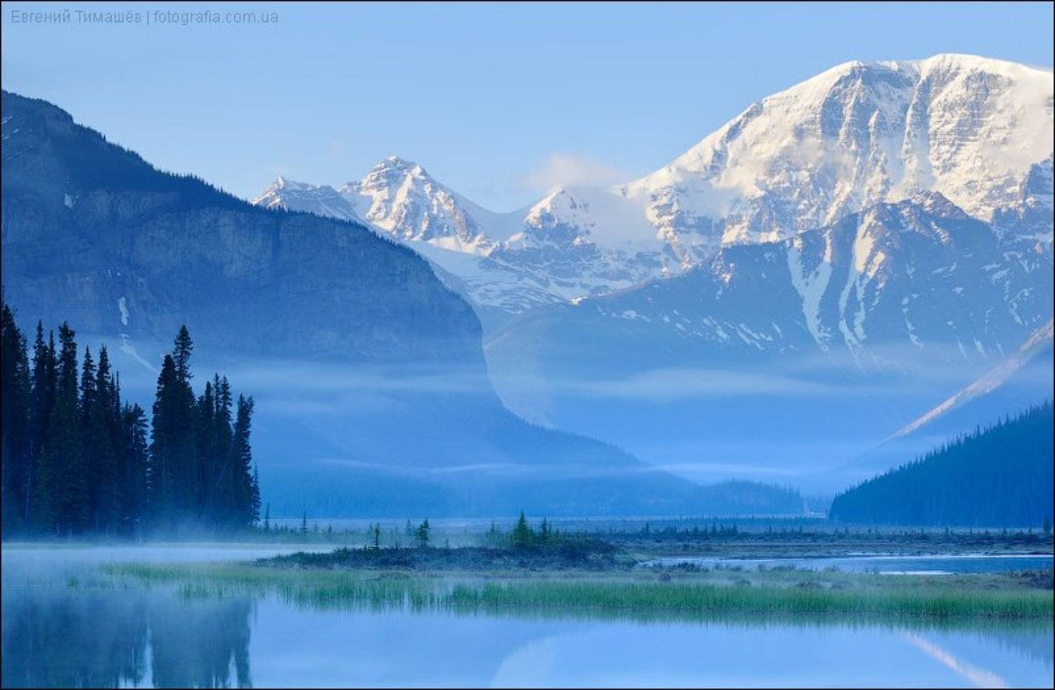 , Евгений Тимашёв