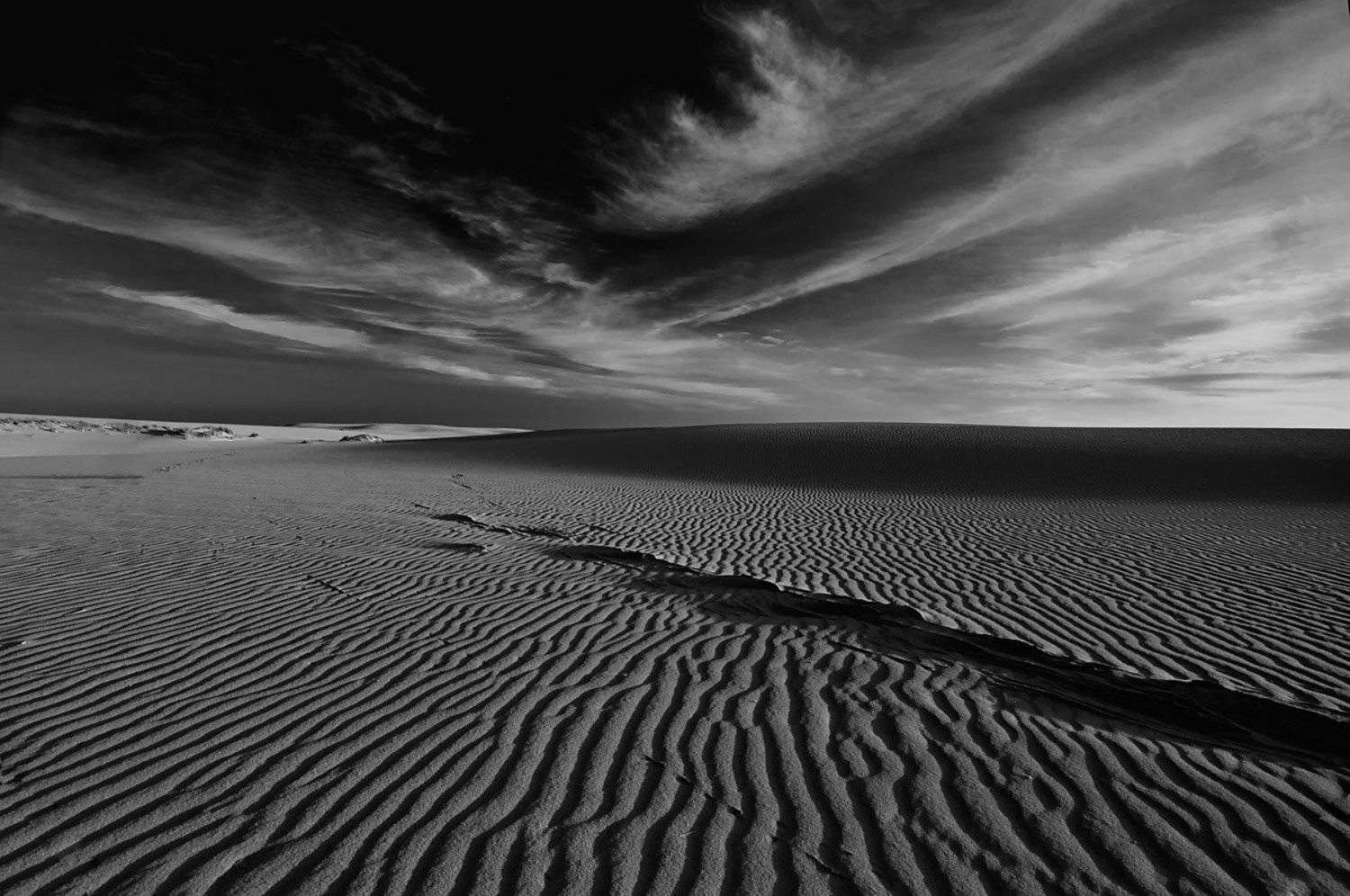 куршская, коса, Александр Титаренко