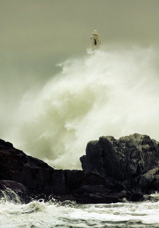 Recent strength II фото превью