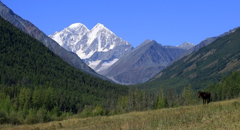 белуха, делоне, конь, алтай Про Белуху, Делоне и коня фото превью