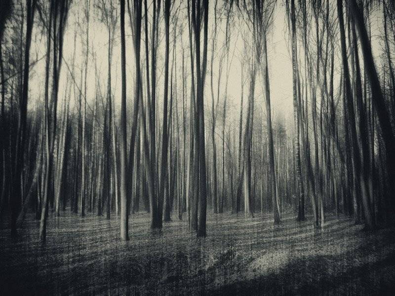 , Юлия Володина