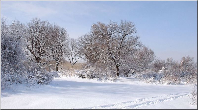 природа *** фото превью