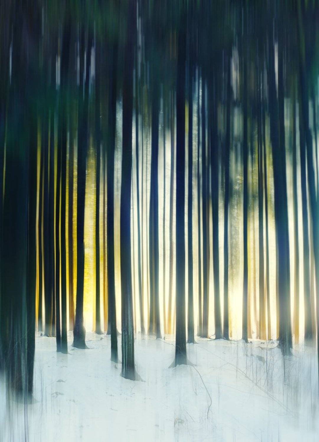 , Сергей Кичигин