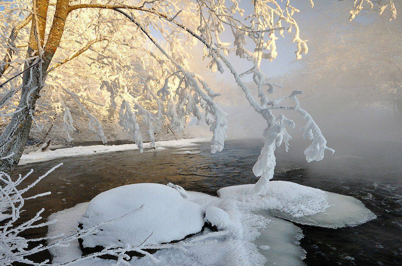 , Андрей Куликов