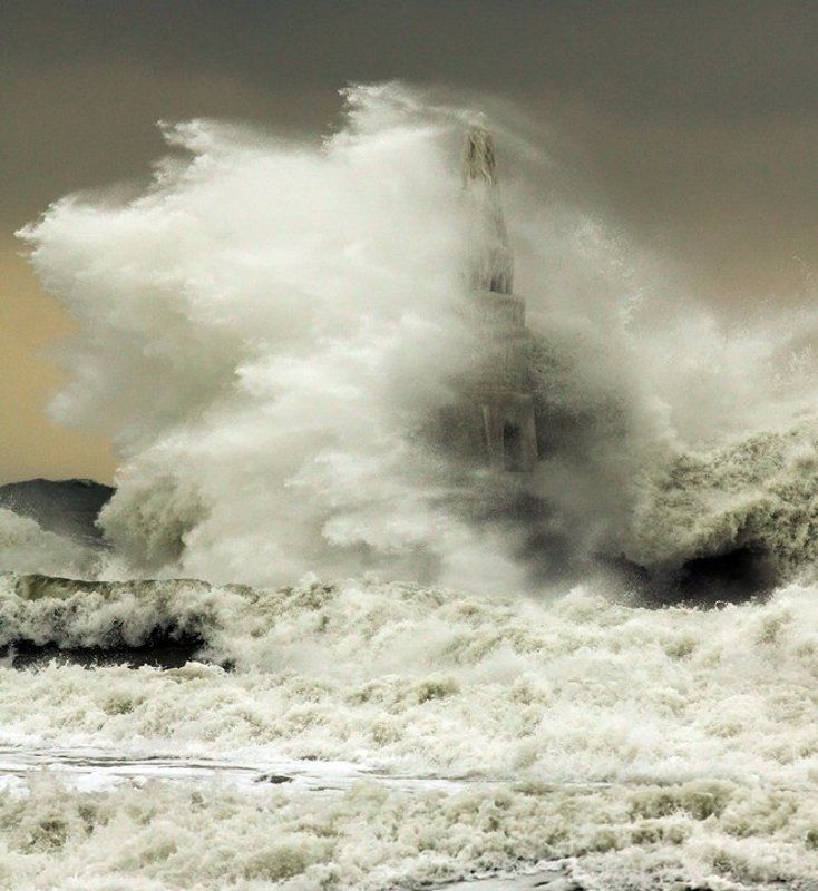 Force of Nature фото превью