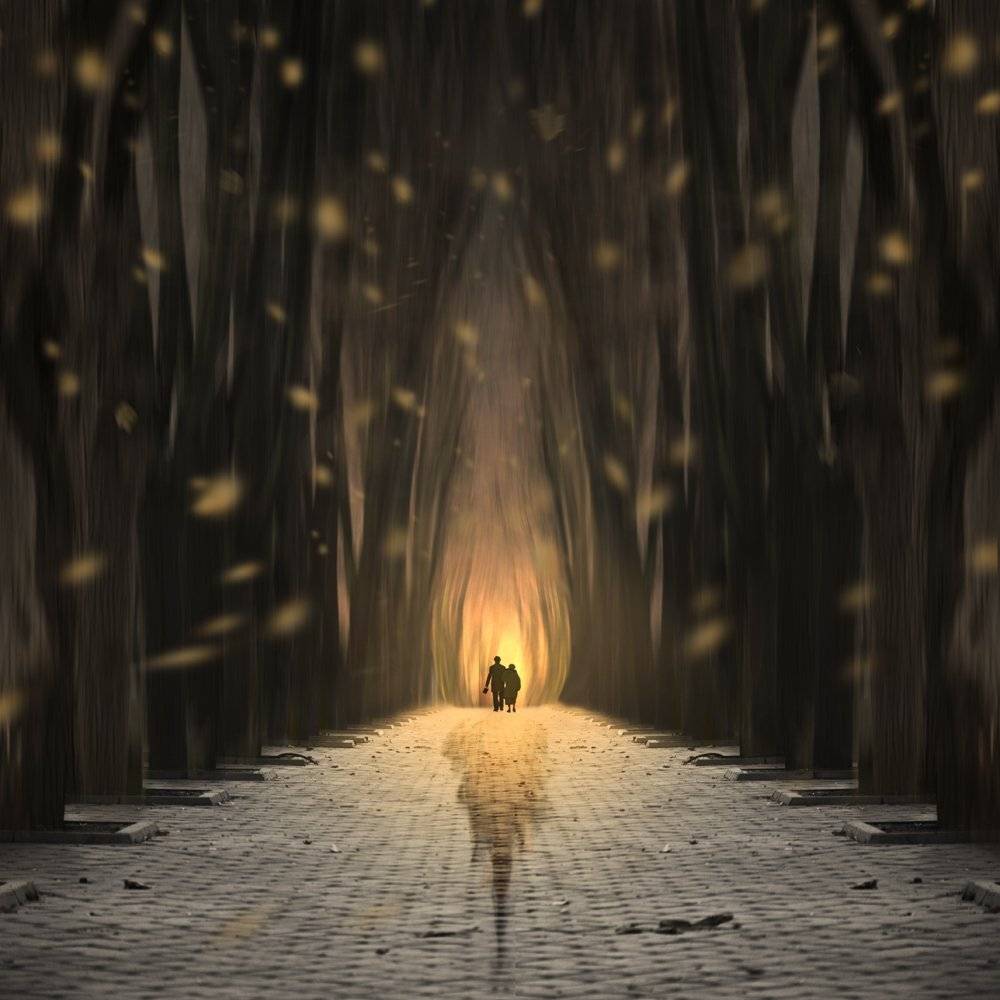 fire, forest, light, tree, golden, leaf, woman, man, couple, stone, Caras Ionut