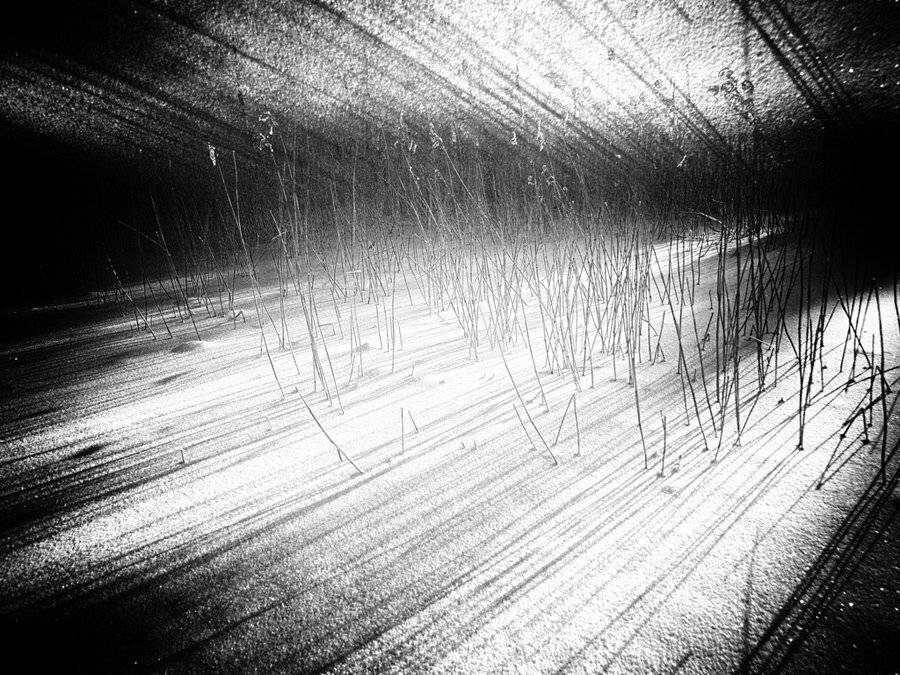 , Штабнов Юрий