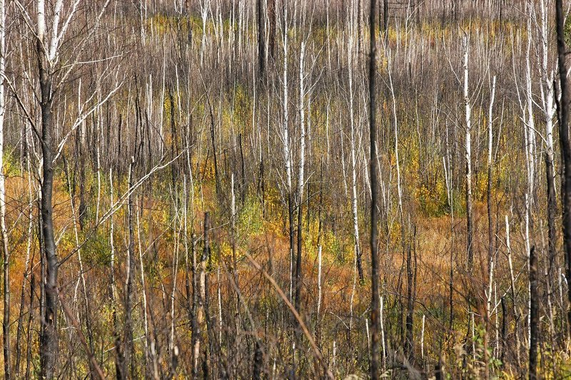 * фото превью